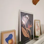 Charmante Maisonnette-dachgeschosswohnung In Zentraler Lage * Rostock